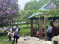 Hanami-Drummer-Performance