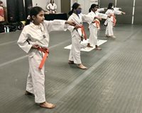 Girls-during-April-1,-2022-Belt-Testing-at-Akula-Taekwondo-Wixom-MI-Martial-Arts-School