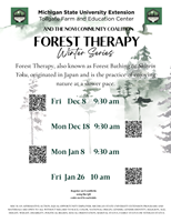 WinterForestTherapySocial2
