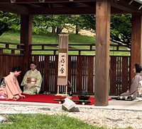 Hanami-Tea-Ceremony