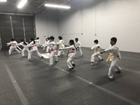 7-10-year-old-class-at-Akula-Taekwondo-Wixom-MI-Martial-Arts-School